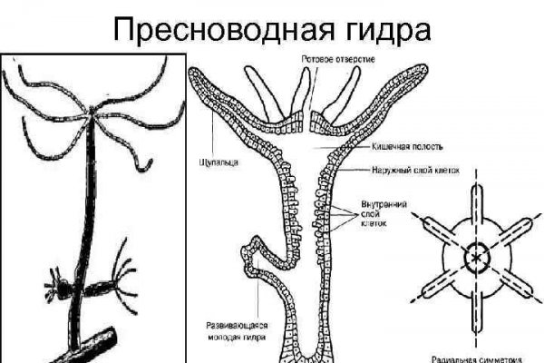 Список даркнет сайтов