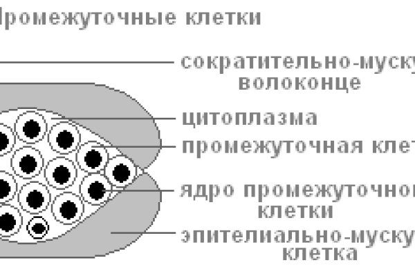 Кракен 20 at