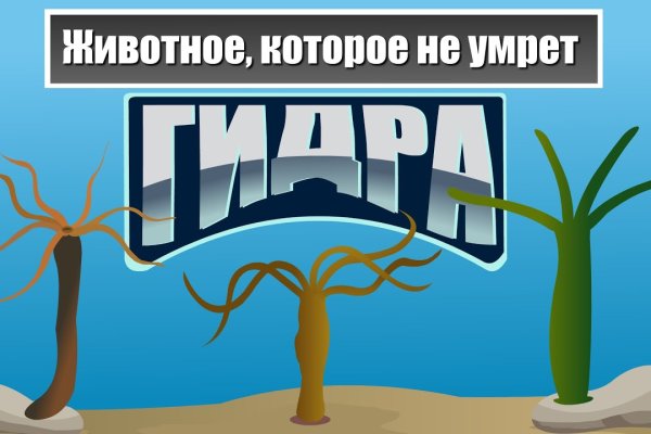 Кракен маркет только через тор скачать